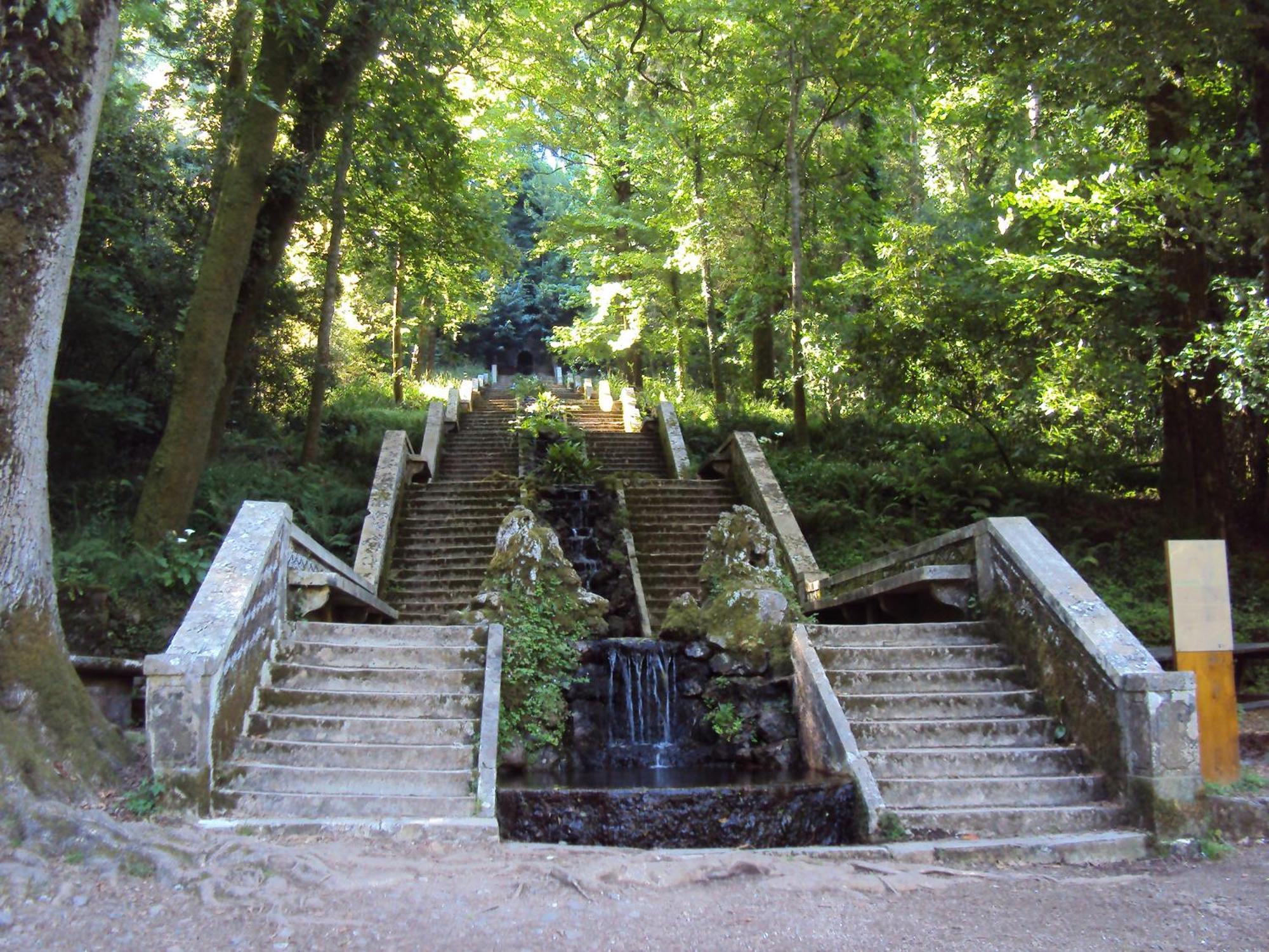 Parque Tematico Vale De Mouro Vale de Mouro Exterior foto